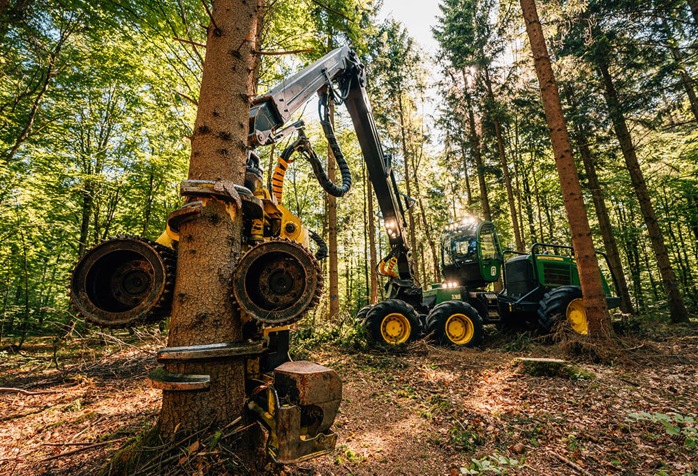 Reichardt-Lohnunternehmen-Forstwirtschaft-Holzernte-Harvester-Baum Harvester bei der Arbeit