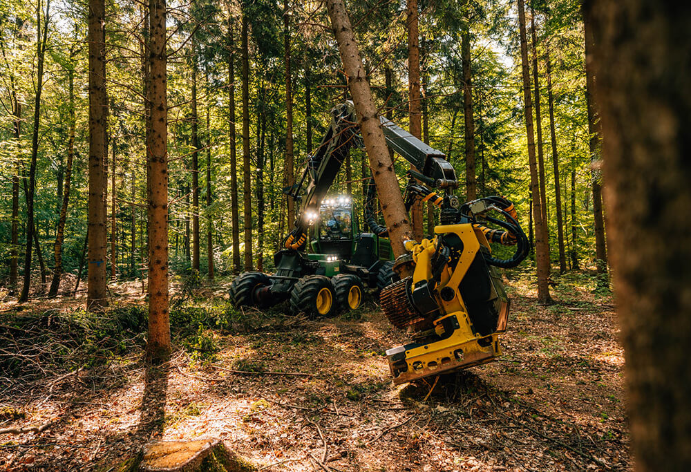 Reichardt-Lohnunternehmen-Forstwirtschaft-Holzernte-Harvester Pflücken der Bäume