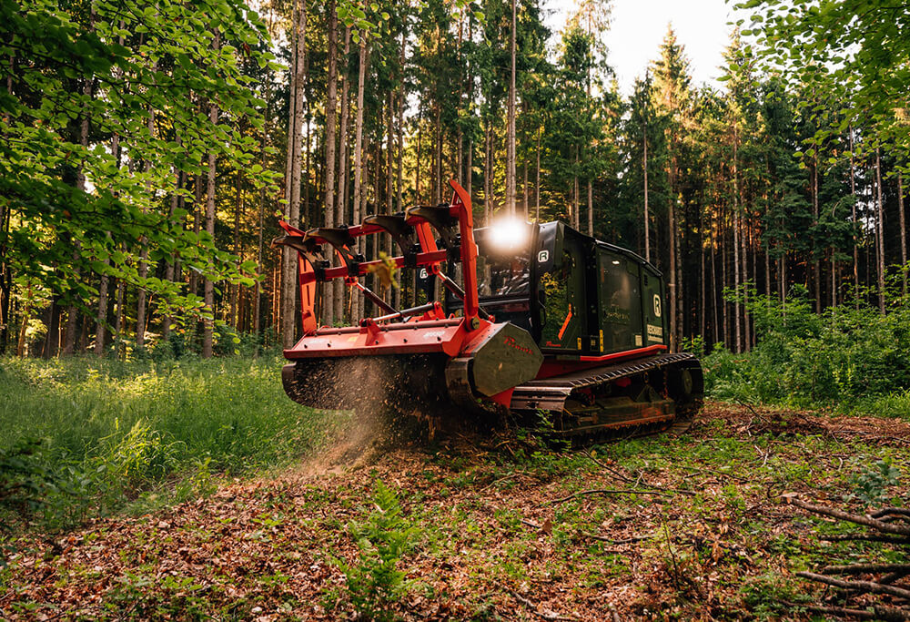 Reichardt-Lohnunternehmen-Forstwirtschaft-Holzernte-Mulchraupe-Mulch Durchforstung mit der Mulchraupe von Lohnunternehmen Reichardt