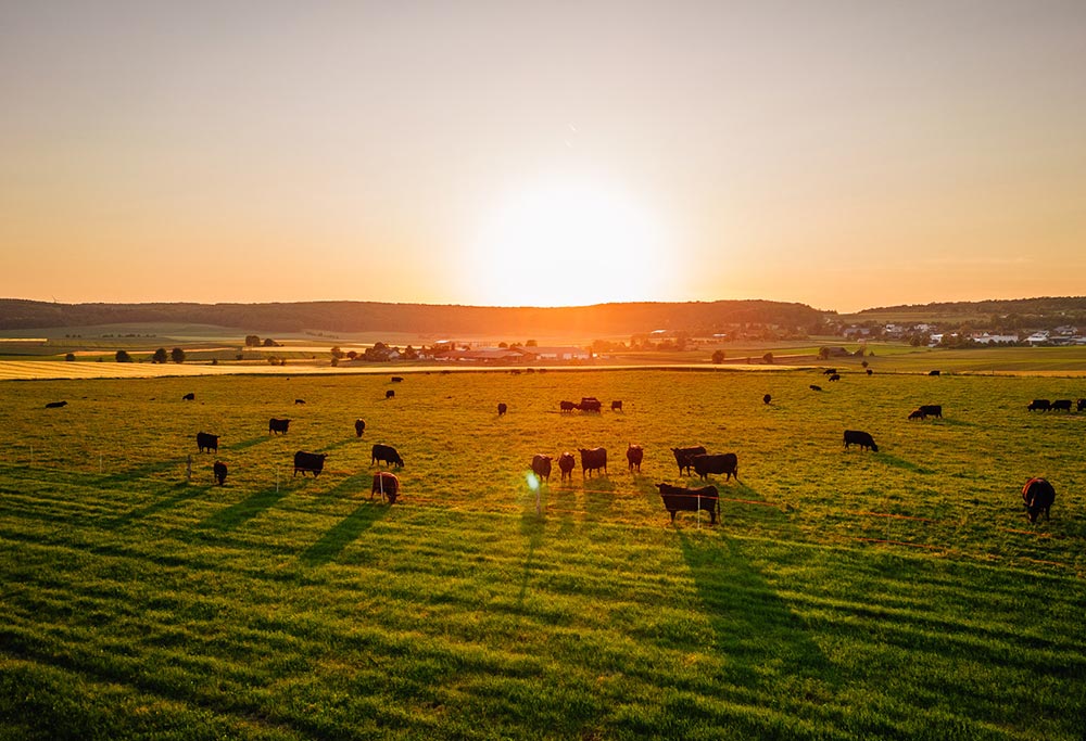 Stellenangebot-Job-Forstwirtschaft-Landwirtschaft-Landtechnik-Reichardt-Lohnunternehmen-teamgedanke
