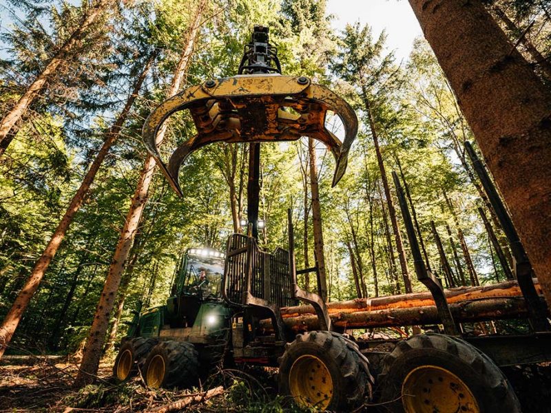 Jobangebot-Job-Forstwirtschaft-Landwirtschaft-Landtechnik-Reichardt-Lohnunternehmen-Forstmaschinenfuehrer-Rueckezug Jobangebot Forstmaschinenführer m/w/d bei Reichardt Lohnunternehmen